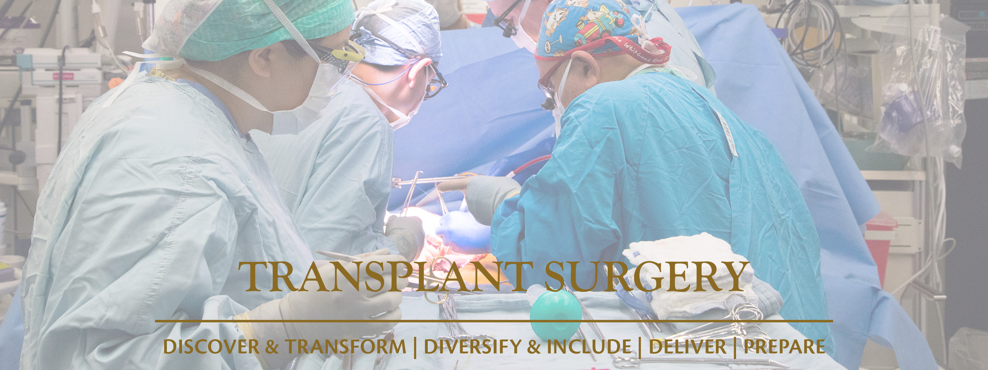 transplant-page-photos