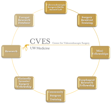 CVES_schematic_small CVES_schematic_small